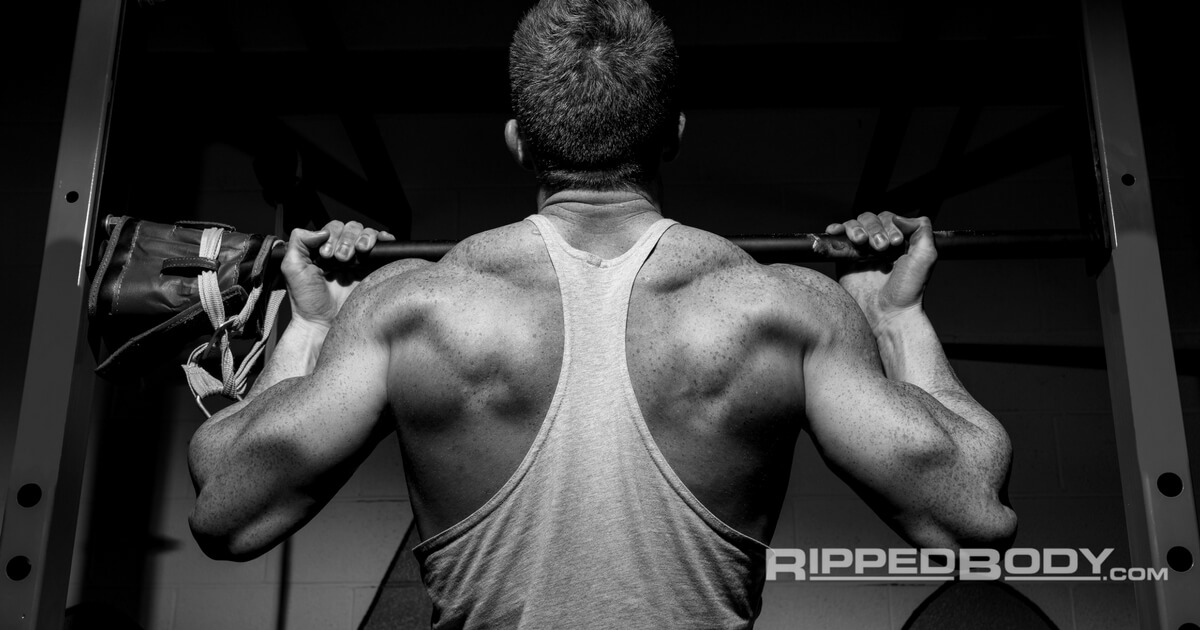 A Full Guide To Progressing Your Chinups