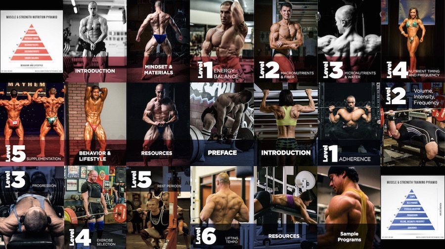 Muscle and Strength Pyramid Chapter Title Athlete Collage (m)