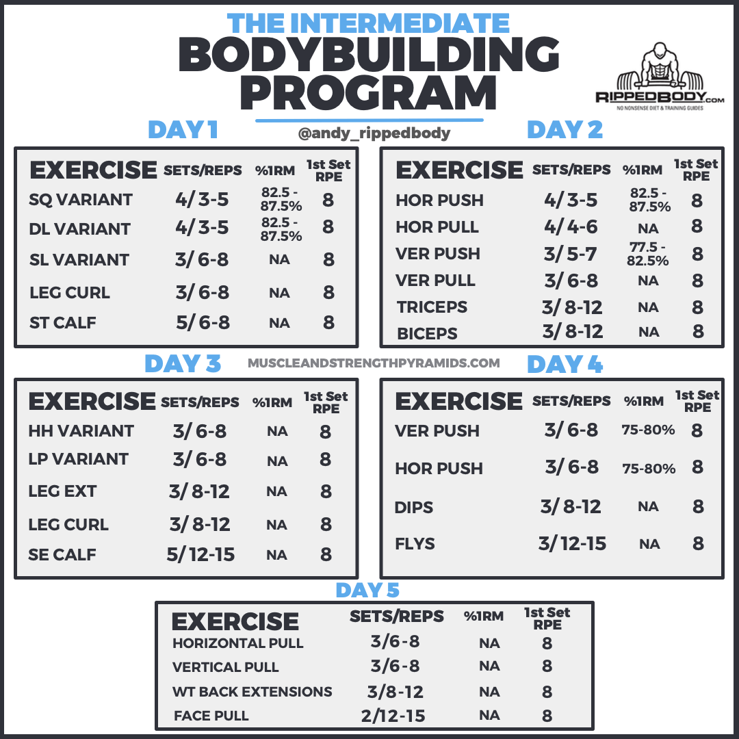 Best Bodybuilding Exercise Chart