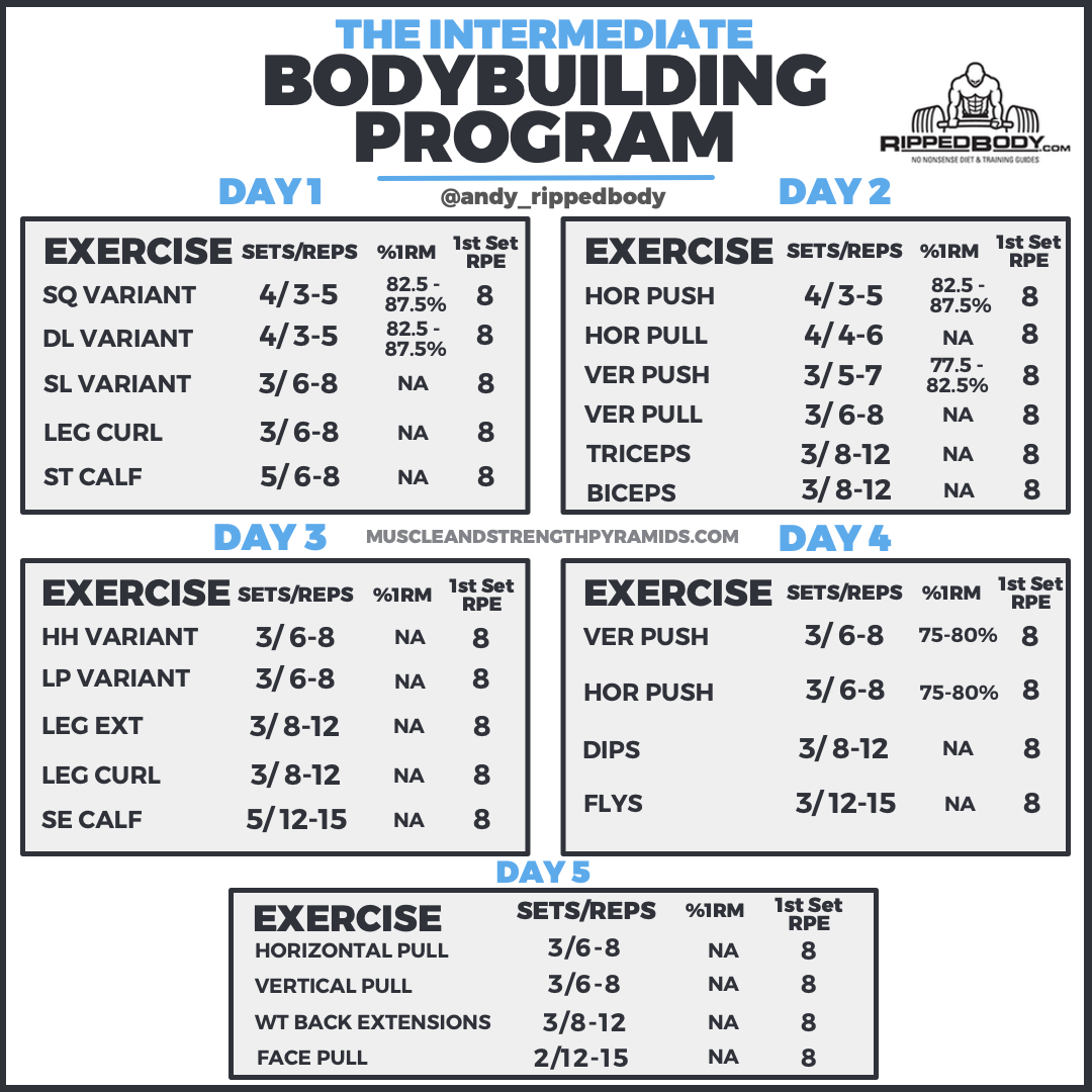 The Intermediate Bodybuilding Program RippedBody