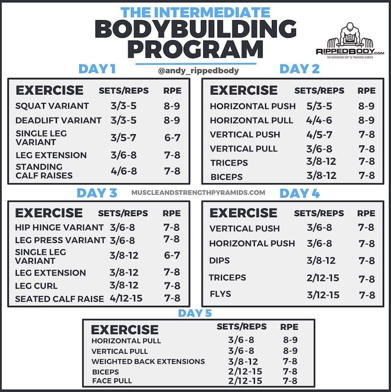 The Intermediate Bodybuilding Program RippedBody