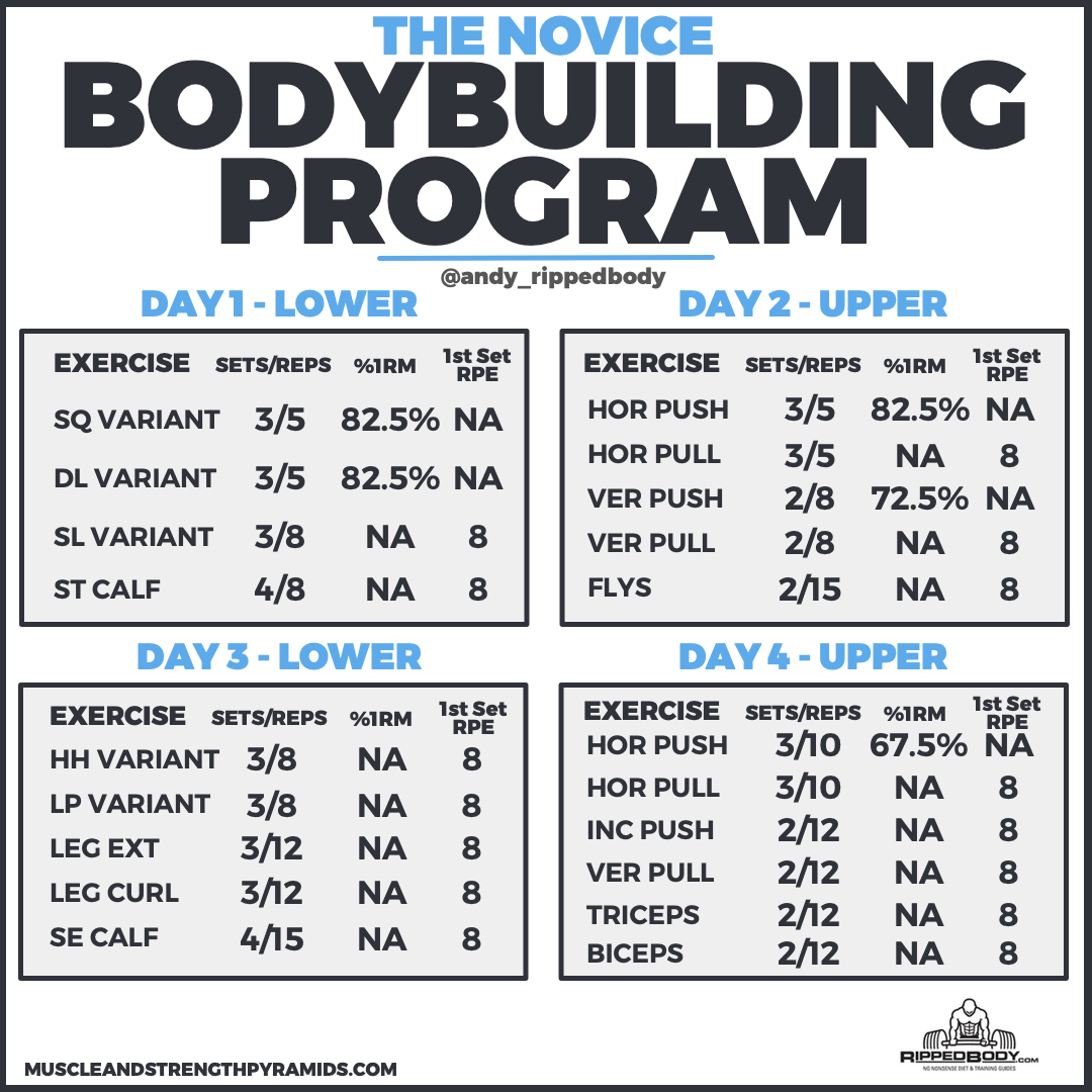 Bodybuilding Exercises Chart Free Download