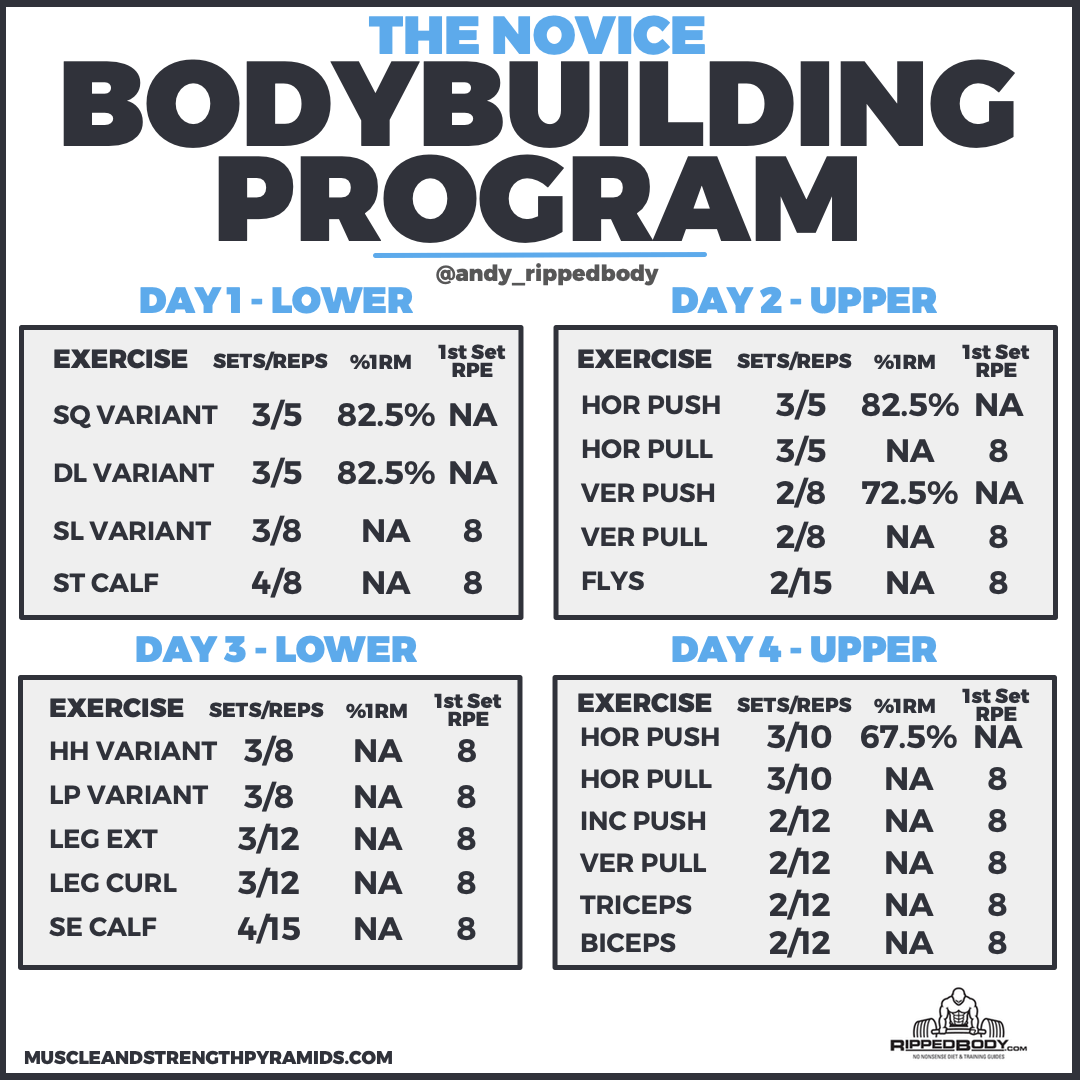 Bodybuilding Workout Programme Blog Dandk