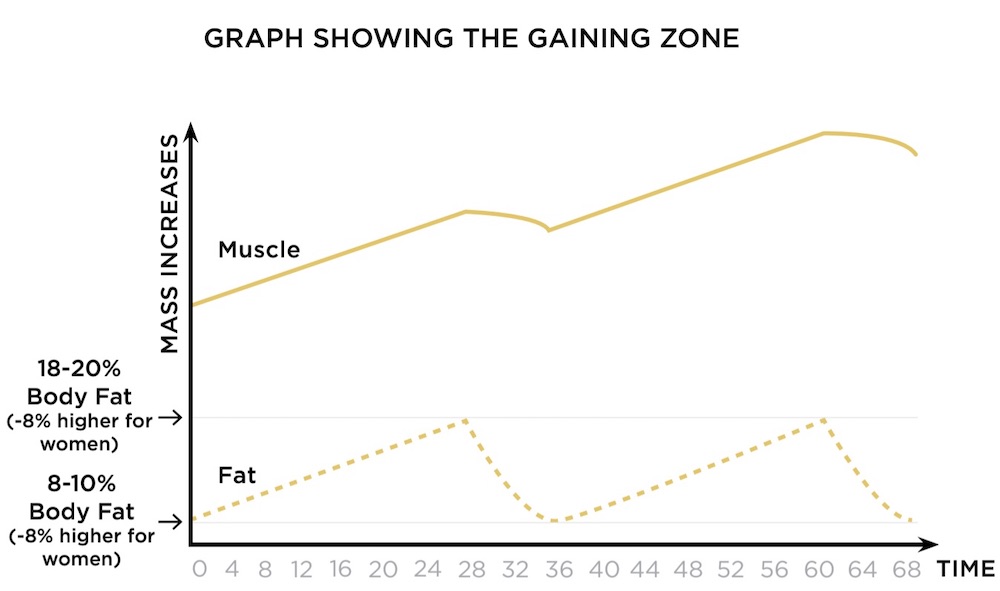 The Differences between the Bulking and Cutting Phases