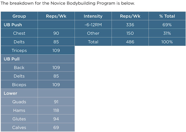 Basic Bodybuilding Program - imaginkdesignlabs