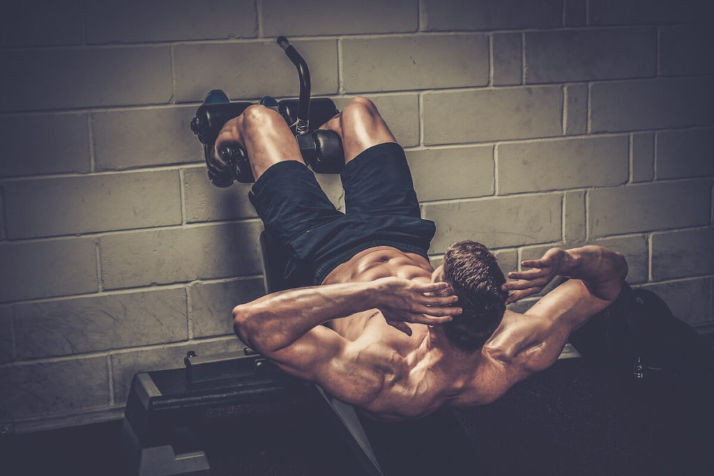 The Intermediate Bodybuilding Program - Ripped Body®