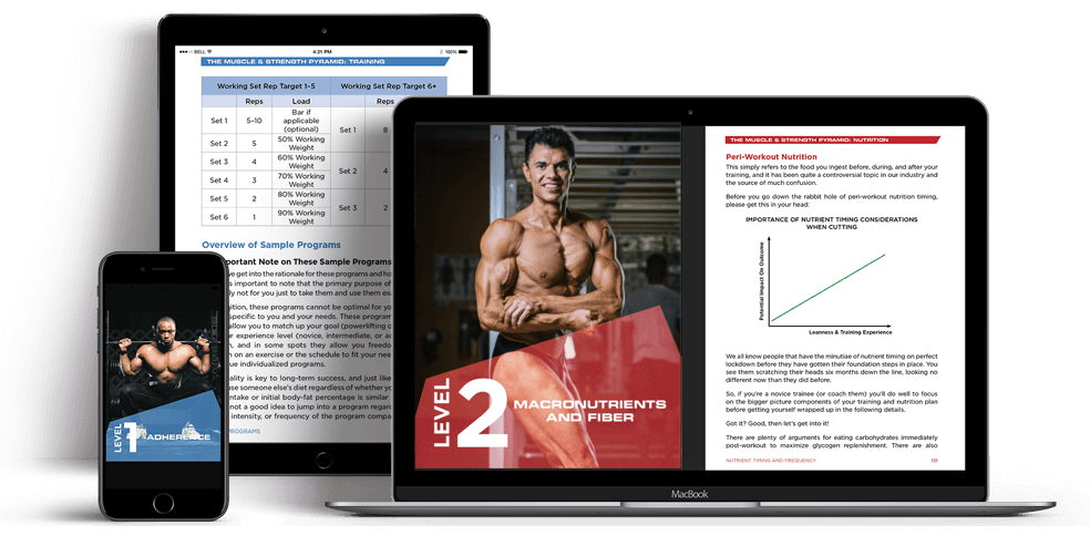 The Muscle and Strength Pyramids Device Display