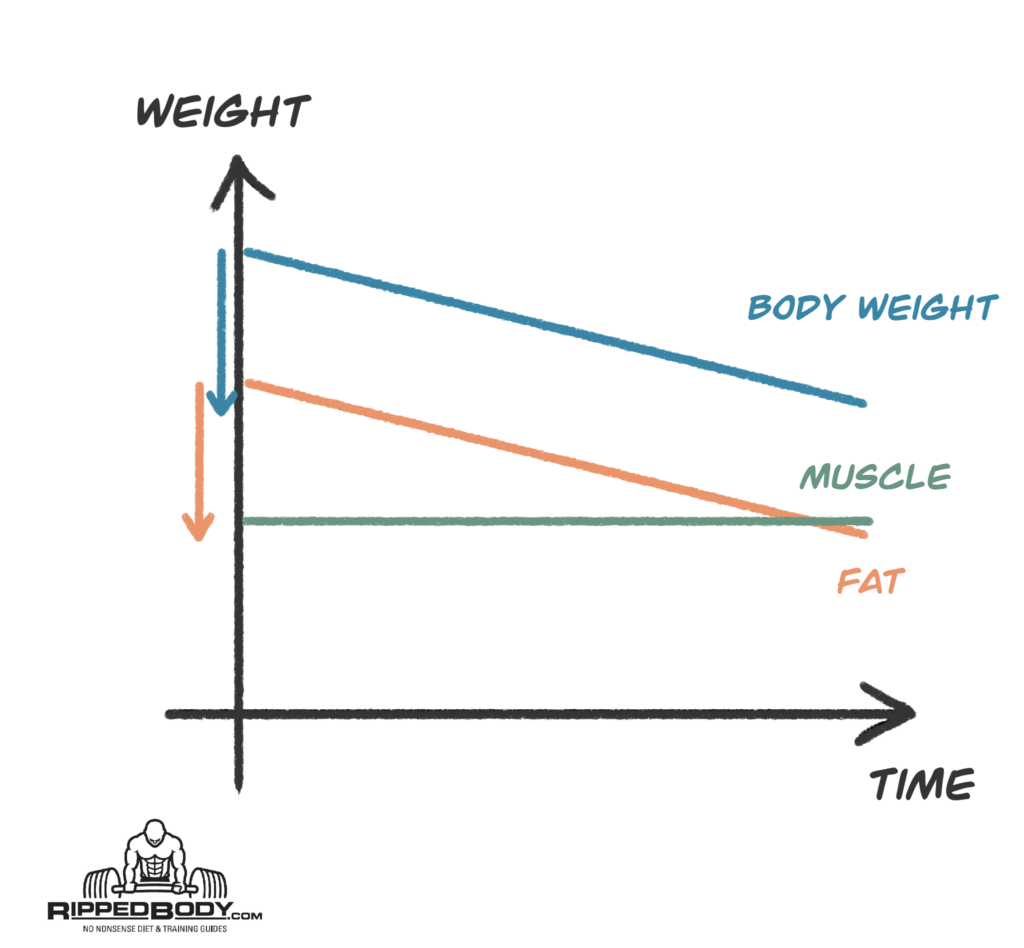 A Simple Guide to the Bulking and Cutting Cycle