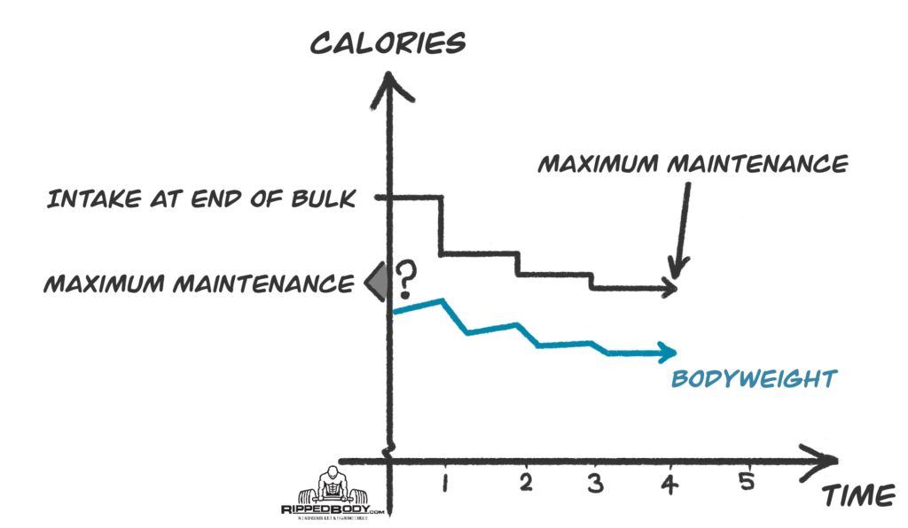Finding Maximum Maintenance Calorie Intake After Bulking