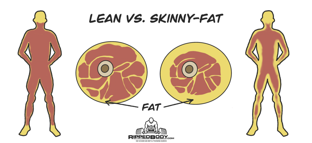 Bulky vs Fat 