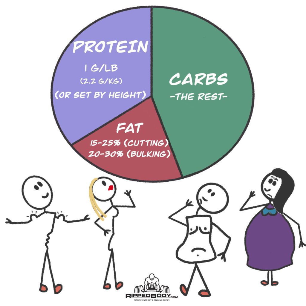 Macro Calculator - Protein, fat and carb guidelines