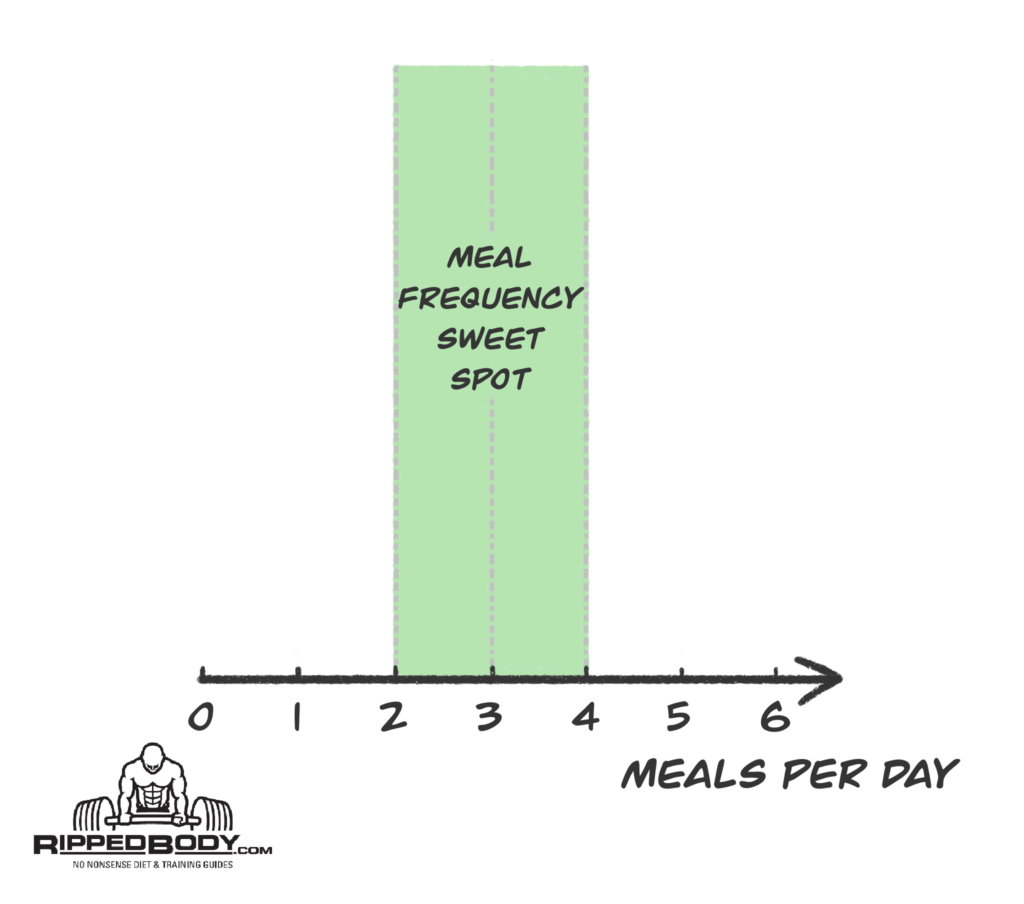 Avoid extremes of meal frequency.