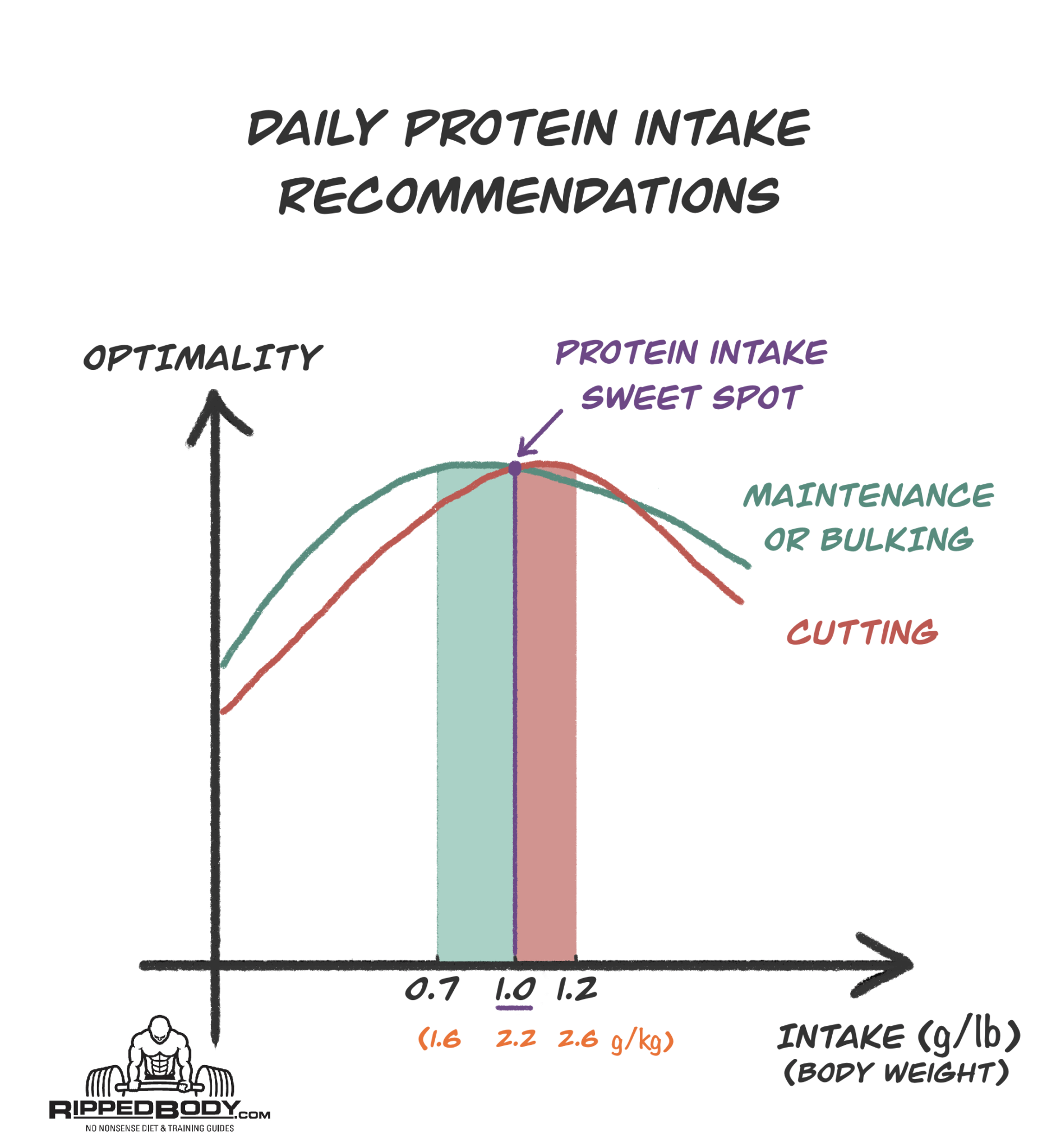 how-to-set-your-macros-for-fat-loss-and-muscle-growth