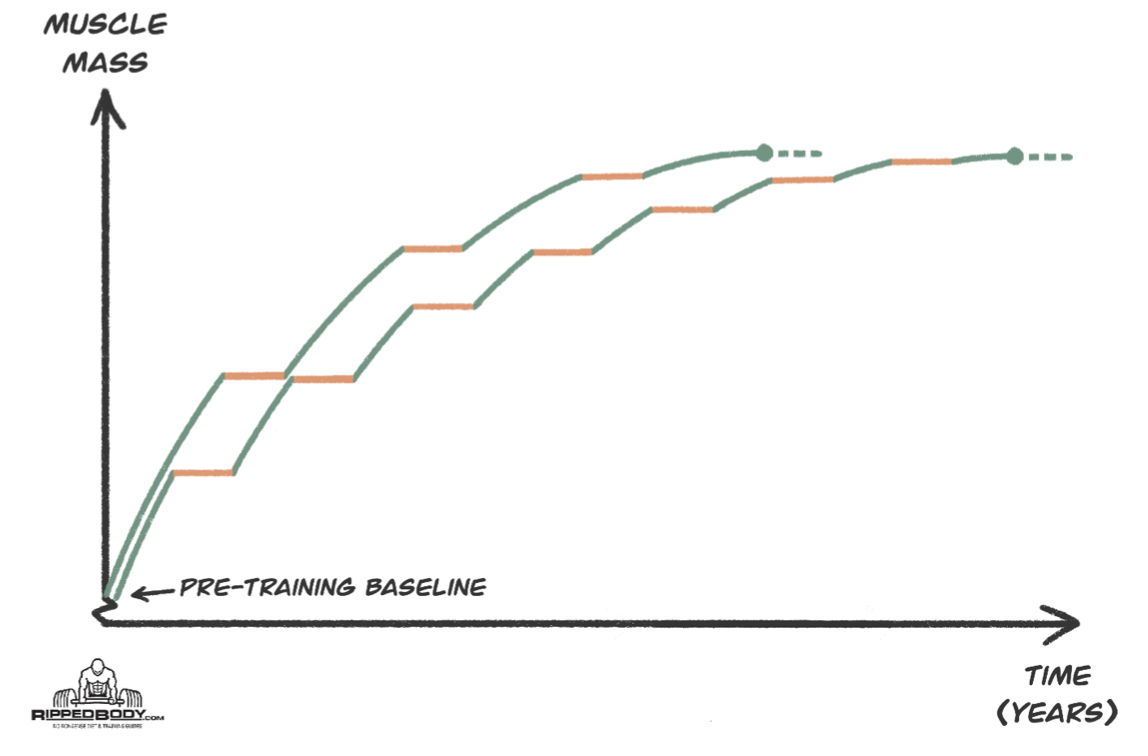 how-well-executed-mid-diet-adjustments-can-shave-years-off-the-time-you