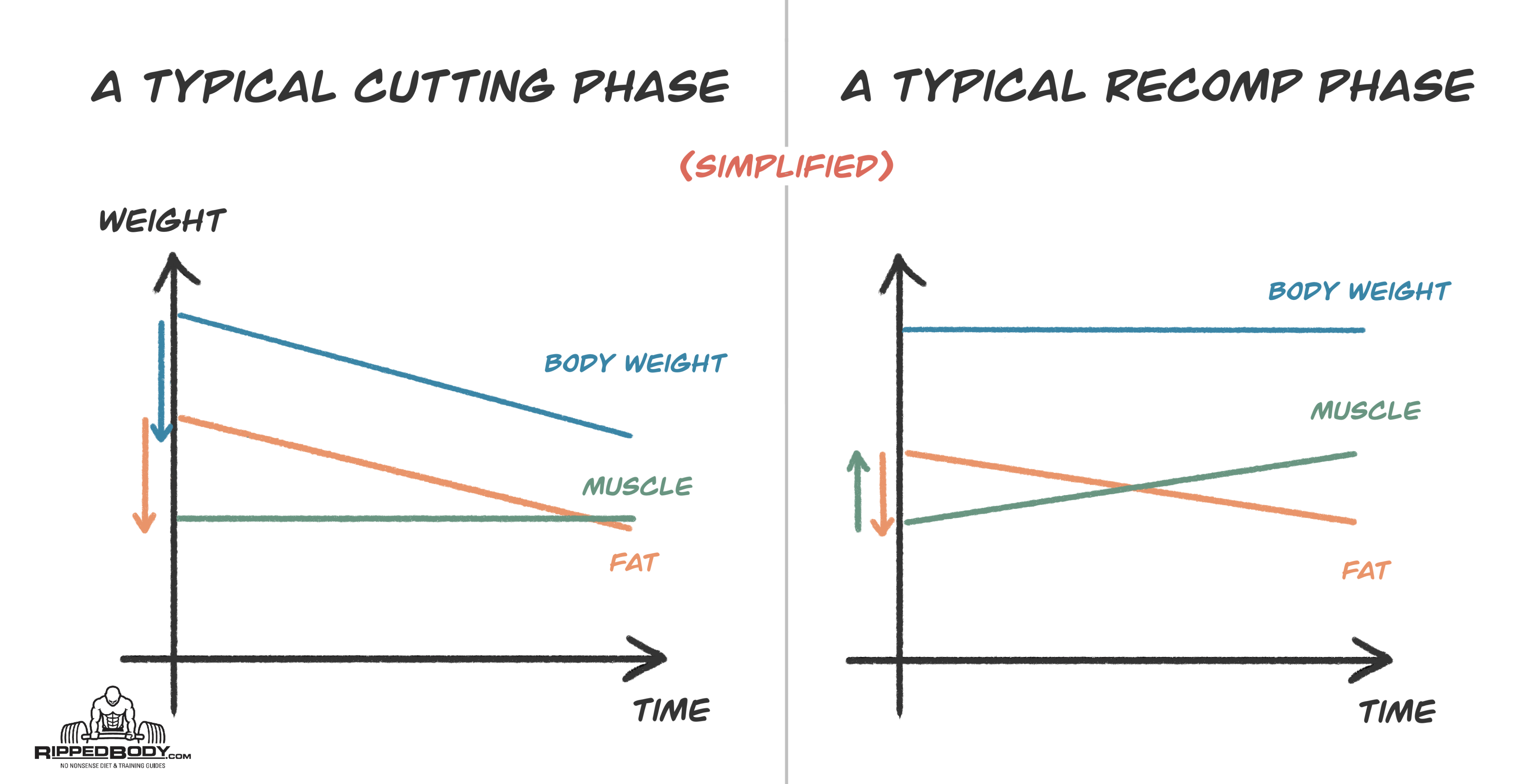 why-is-my-weight-going-up-and-down-while-dieting-rippedbody