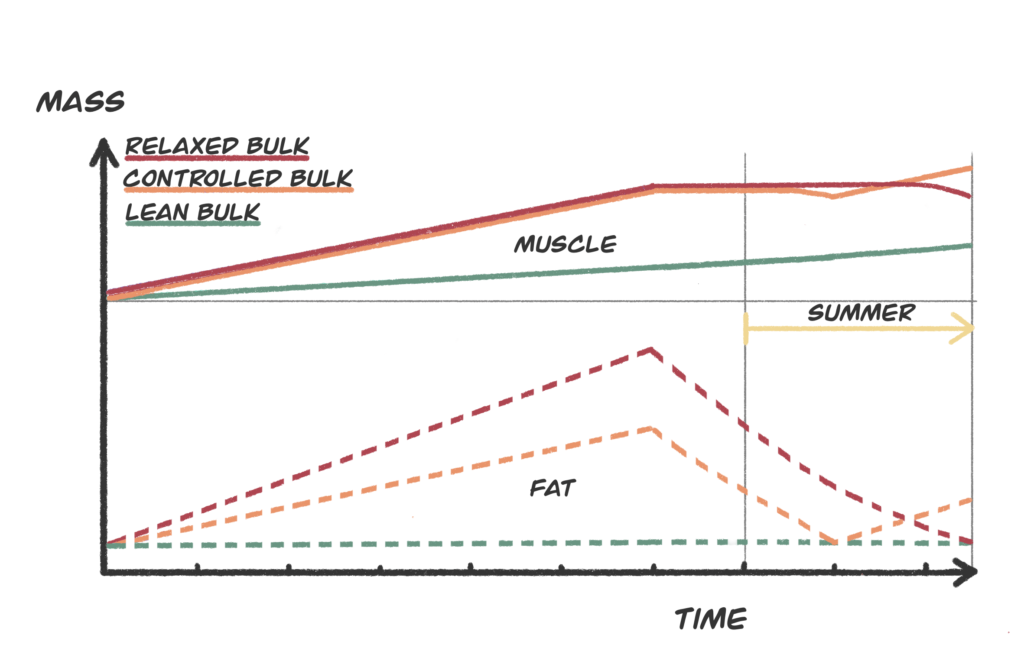 Best Way to Bulk and Cut Explained (Full Guide