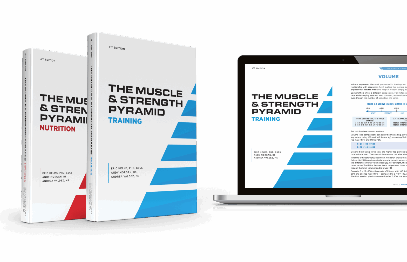 The Intermediate Bodybuilding Program - Ripped Body®