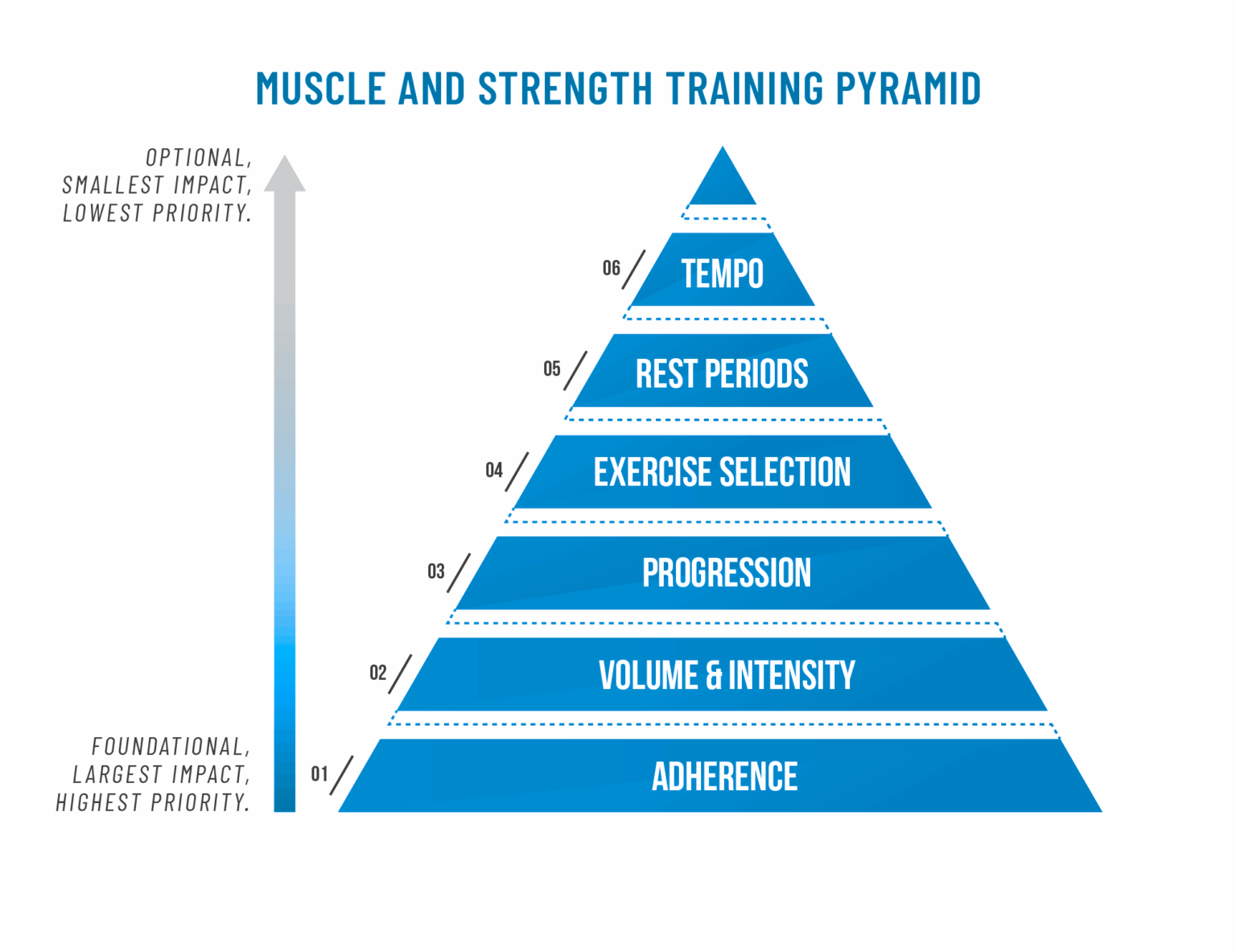 Guide To Program Building For Bodybuilding and Powerlifting