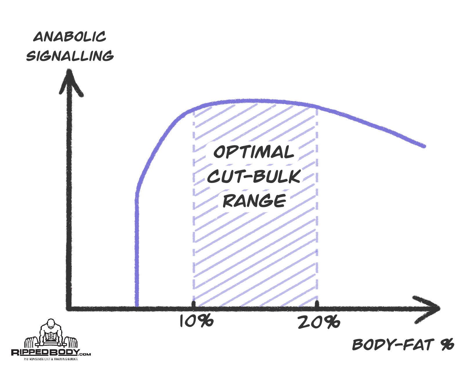 advantages of bulking and cutting