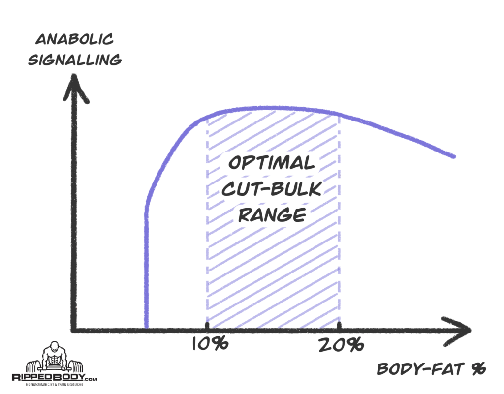 The Optimal Cut–Bulk Range for Body-fat Percentage