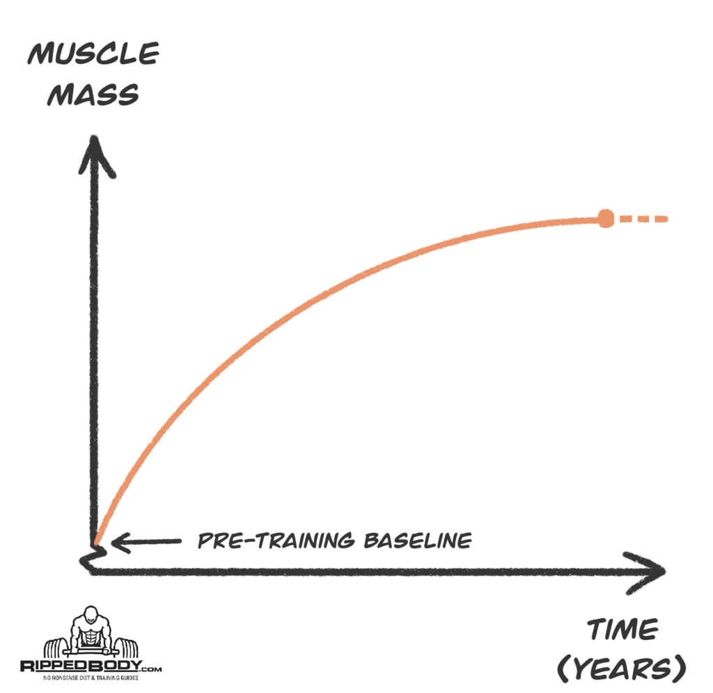 The Path To Maximum Muscular Potential v2
