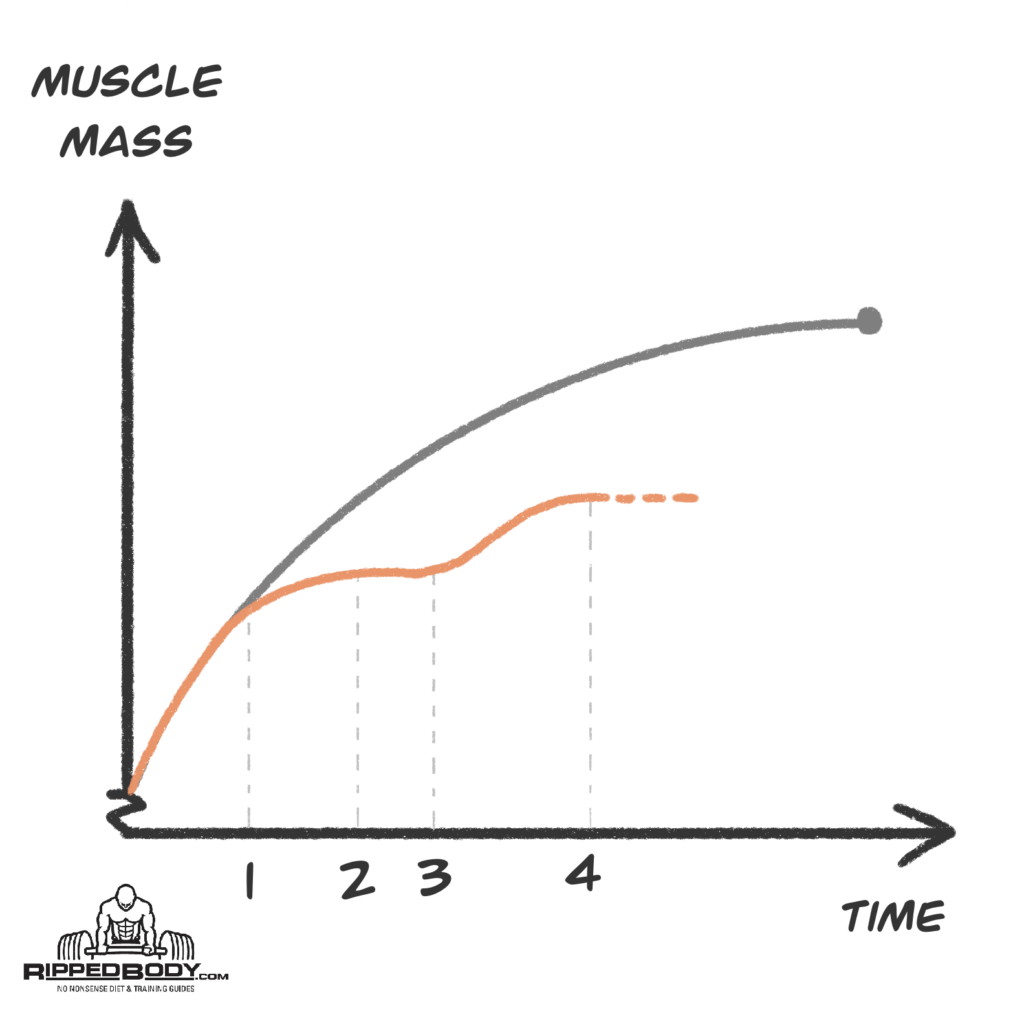 The Realistic Path To Maximum Muscular Potential