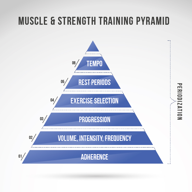 The Muscle and Strength Training Pyramid