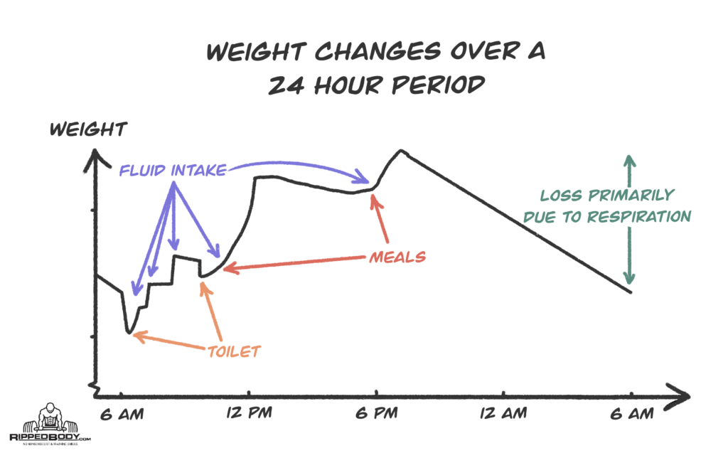Typical Weight Changes Over A 24 Hour Period